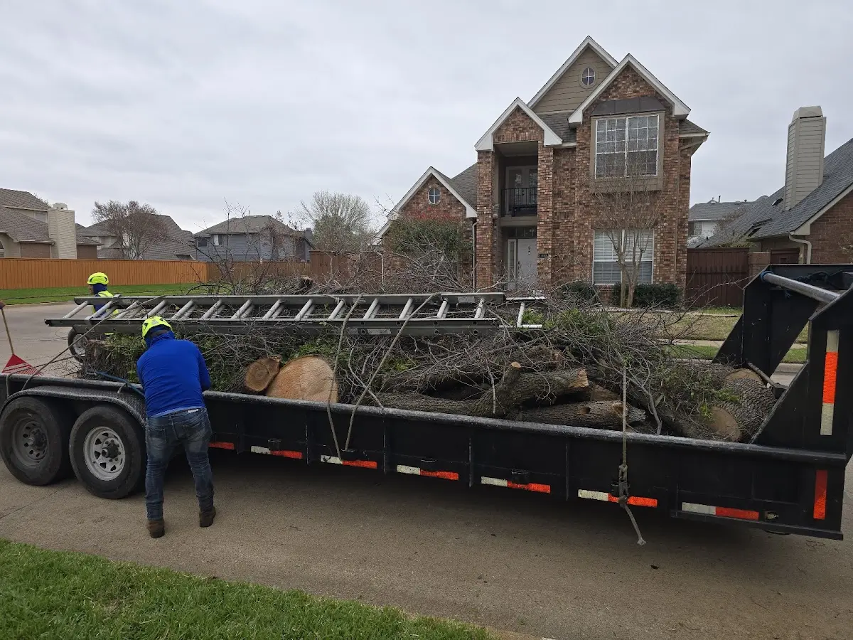 Expert Tree Pest Control with proper safety equipment in Menahga
